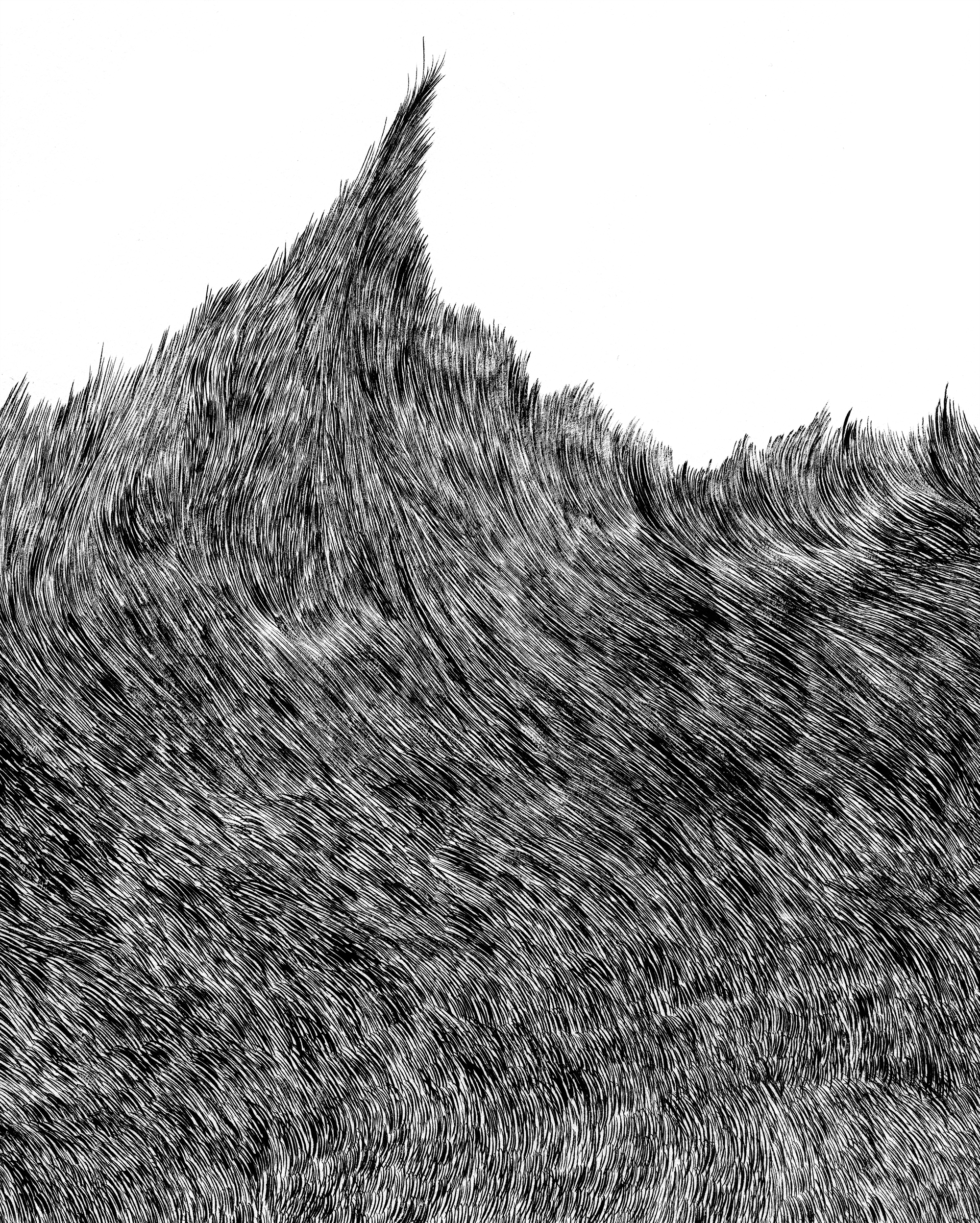 Brush Studies RichTu 02