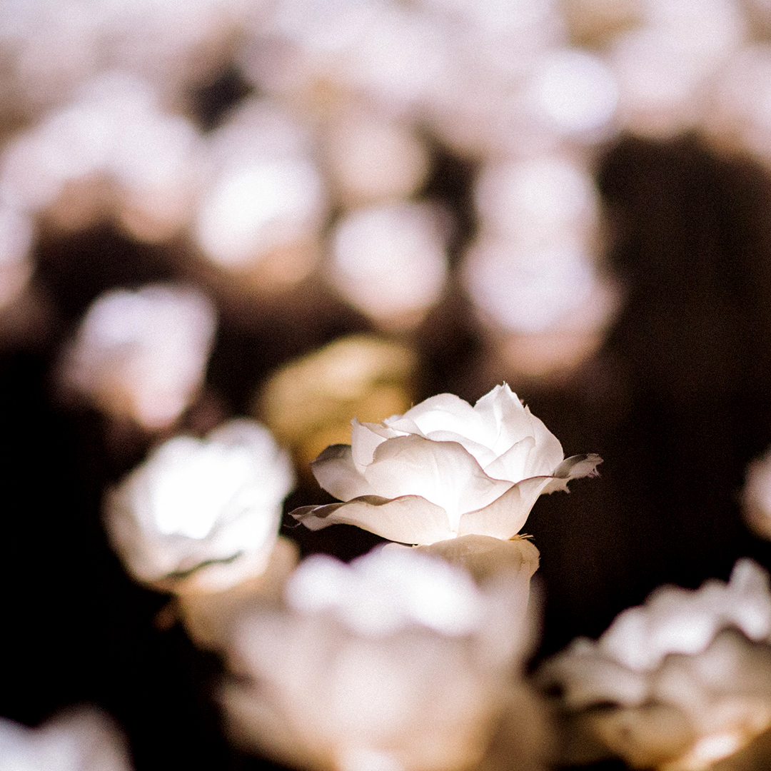 Janji Running 07 Rich Tu