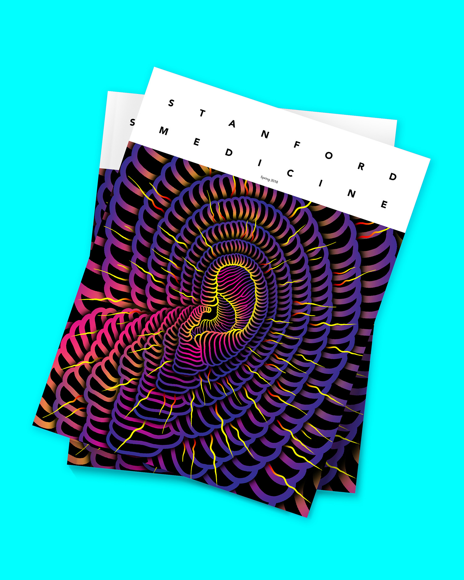 Stanford Cover Insitu v2